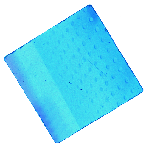 Luke & Nik - lukeandnik-square-7