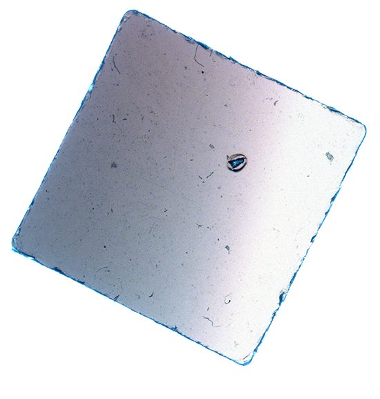 Luke & Nik - lukeandnik-square-11