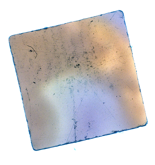 Luke & Nik - lukeandnik-square-9