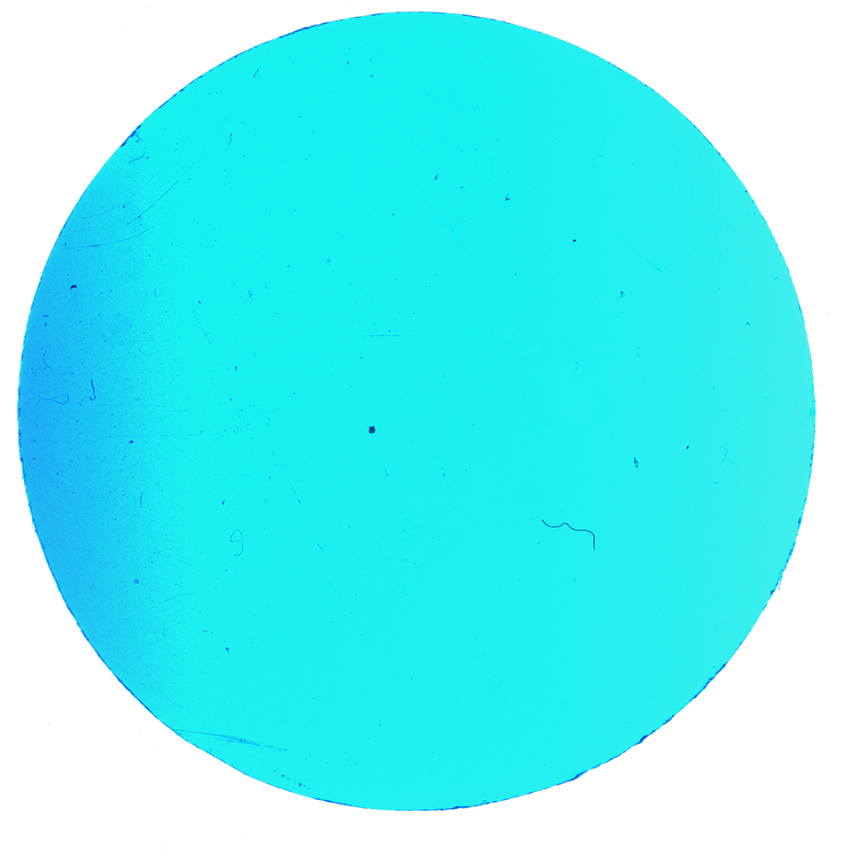 Luke & Nik - lukeandnik-circle-2