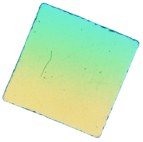 Luke & Nik - lukeandnik-square-6