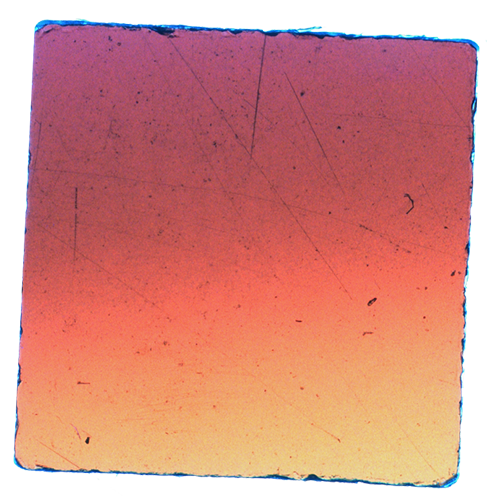 Luke & Nik - lukeandnik-square-5