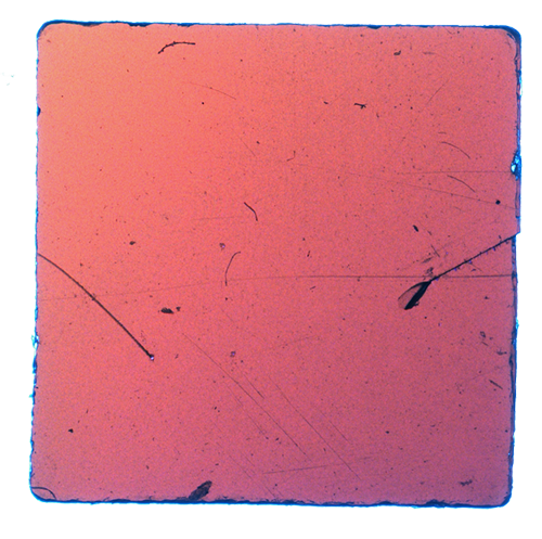 Luke & Nik - lukeandnik-square-4