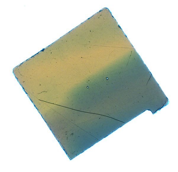 Luke & Nik - lukeandnik-square-12