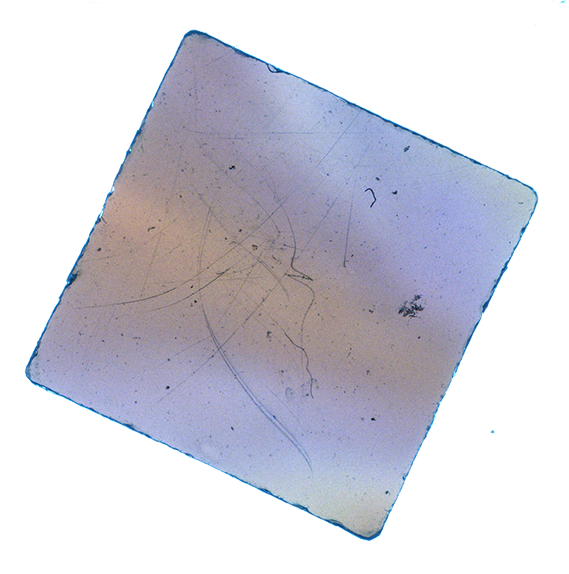 Luke & Nik - lukeandnik-square-10