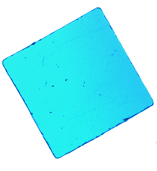 Luke & Nik - lukeandnik-square-8