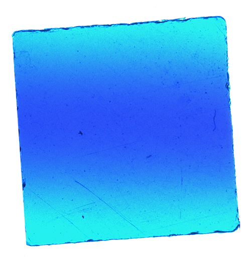 Luke & Nik - lukeandnik-square-2