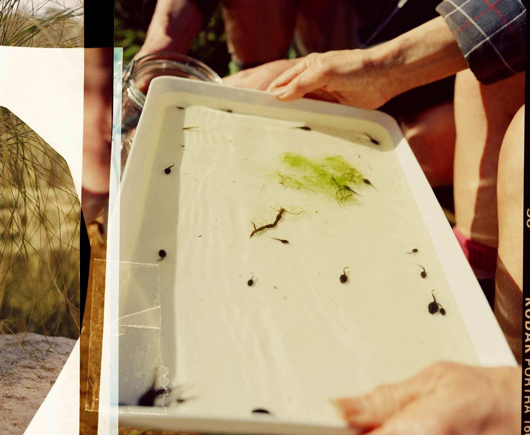 Luke & Nik - barbour_crocs_lukeandnik_023