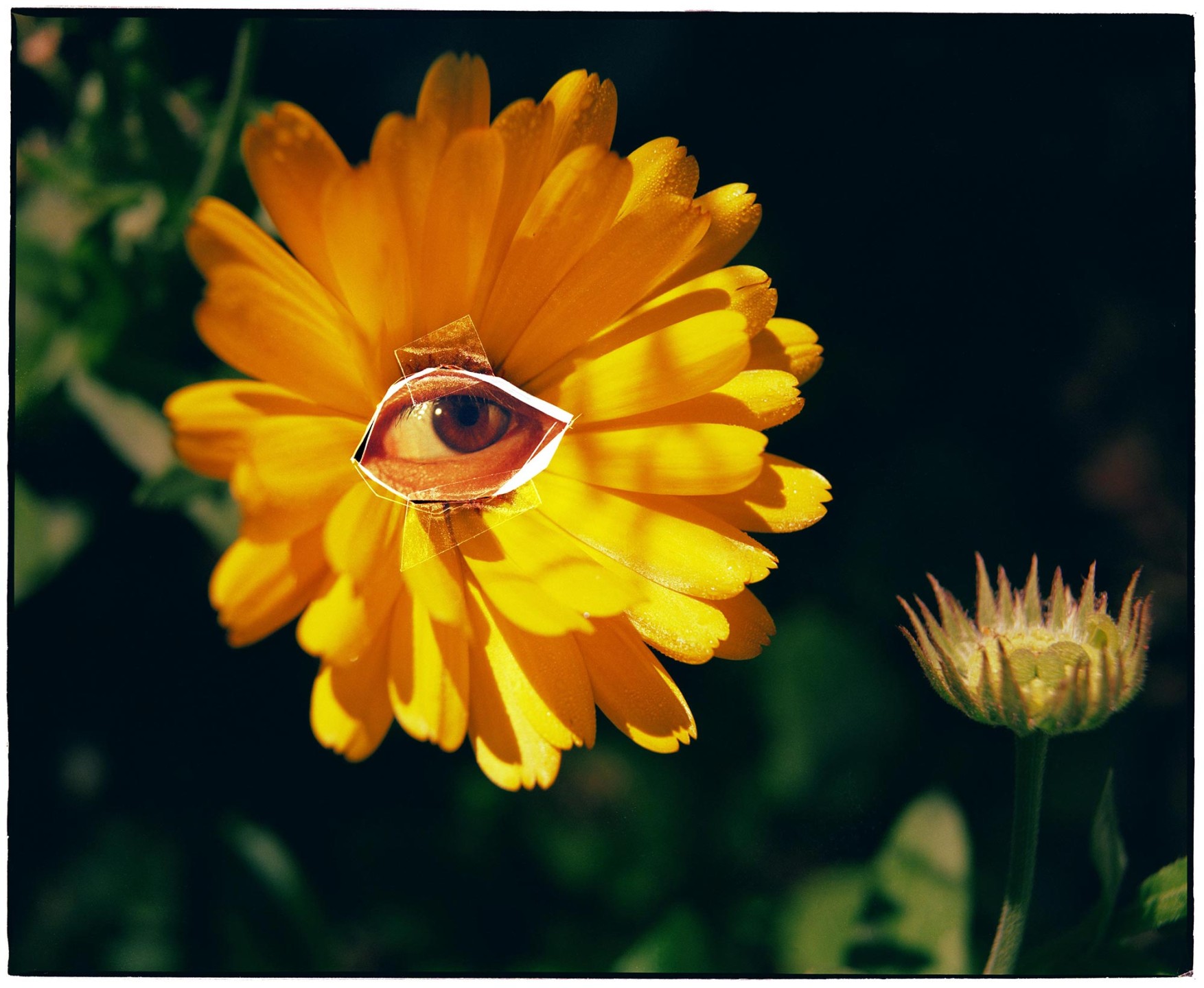 Luke & Nik - dazed_lukeandnik_006_2000