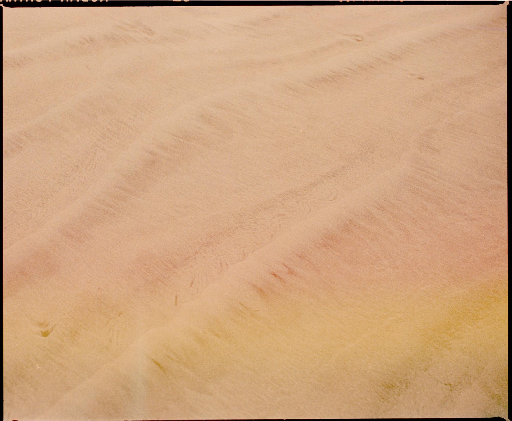 Luke & Nik - grey_lukeandnik_005