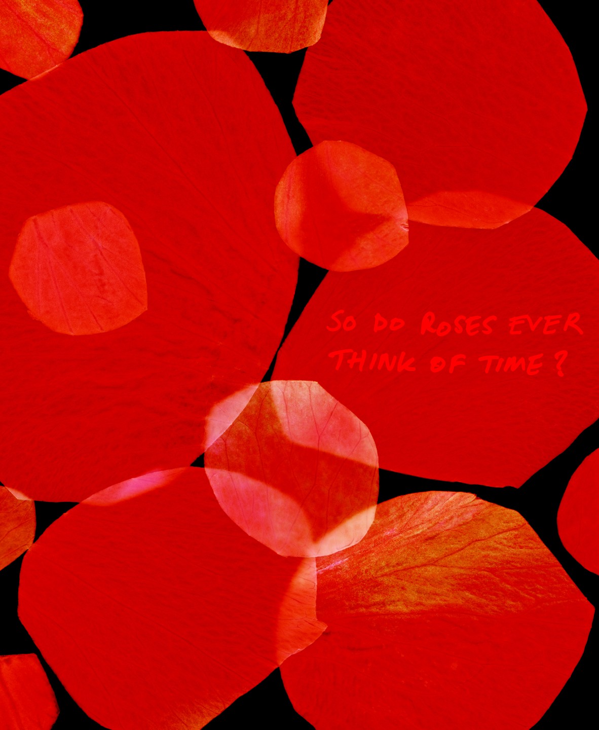 Luke & Nik - jo_malone_roses_lukeandnik_001