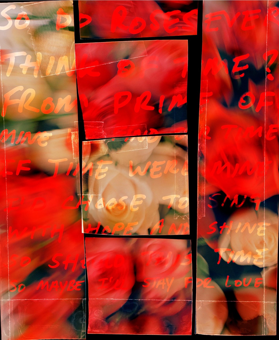 Luke & Nik - jm_roses_template_006