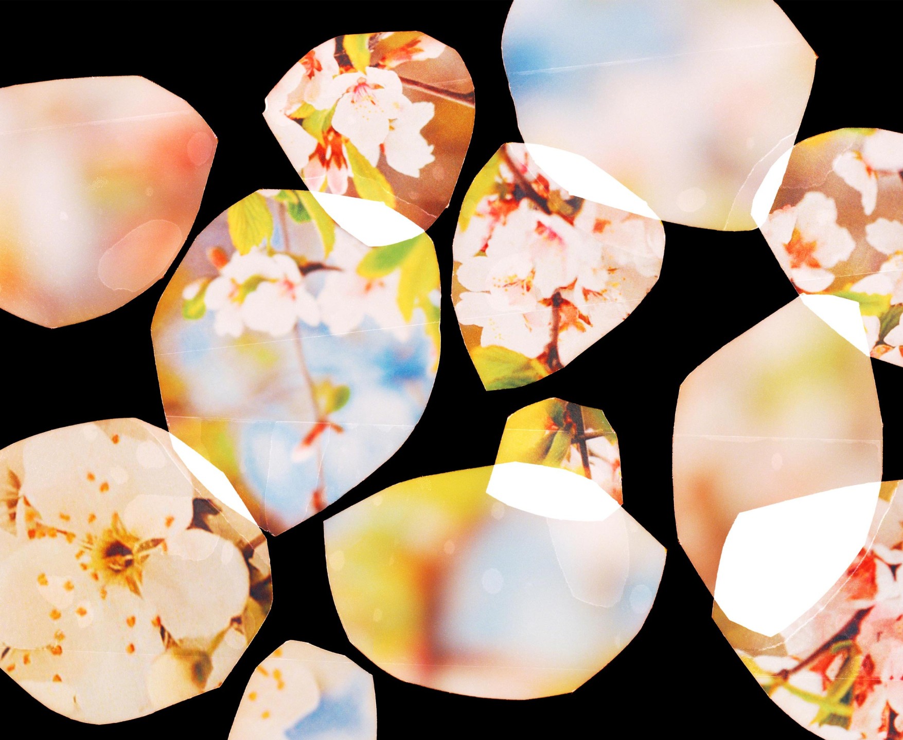 Luke & Nik - jo_malone_sakura_lukeandnik_001