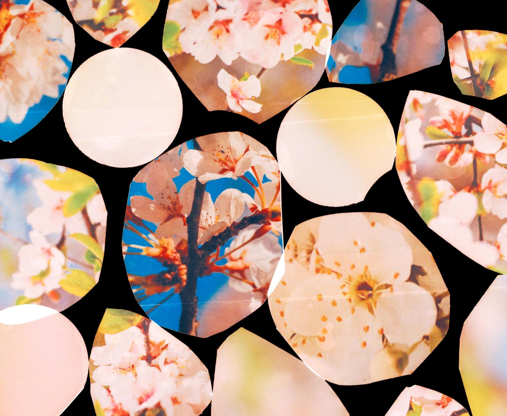 Luke & Nik - jo_malone_sakura_lukeandnik_003