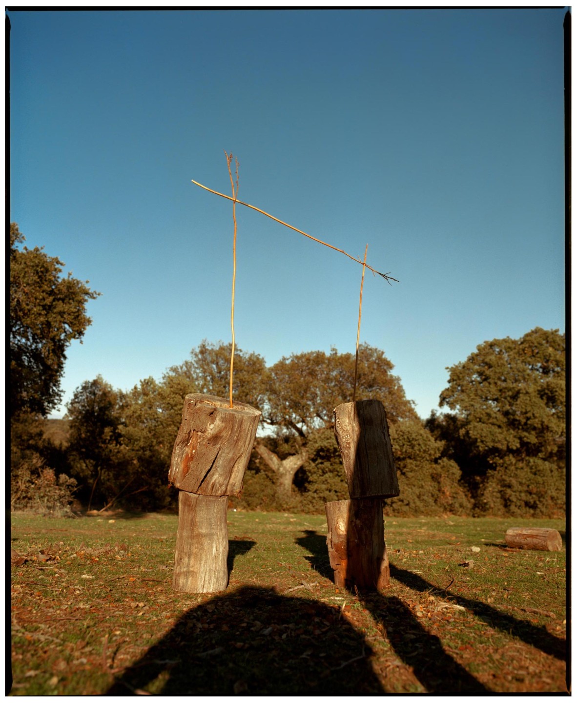 Luke & Nik - luna_del_pinal_lukeandnik_012