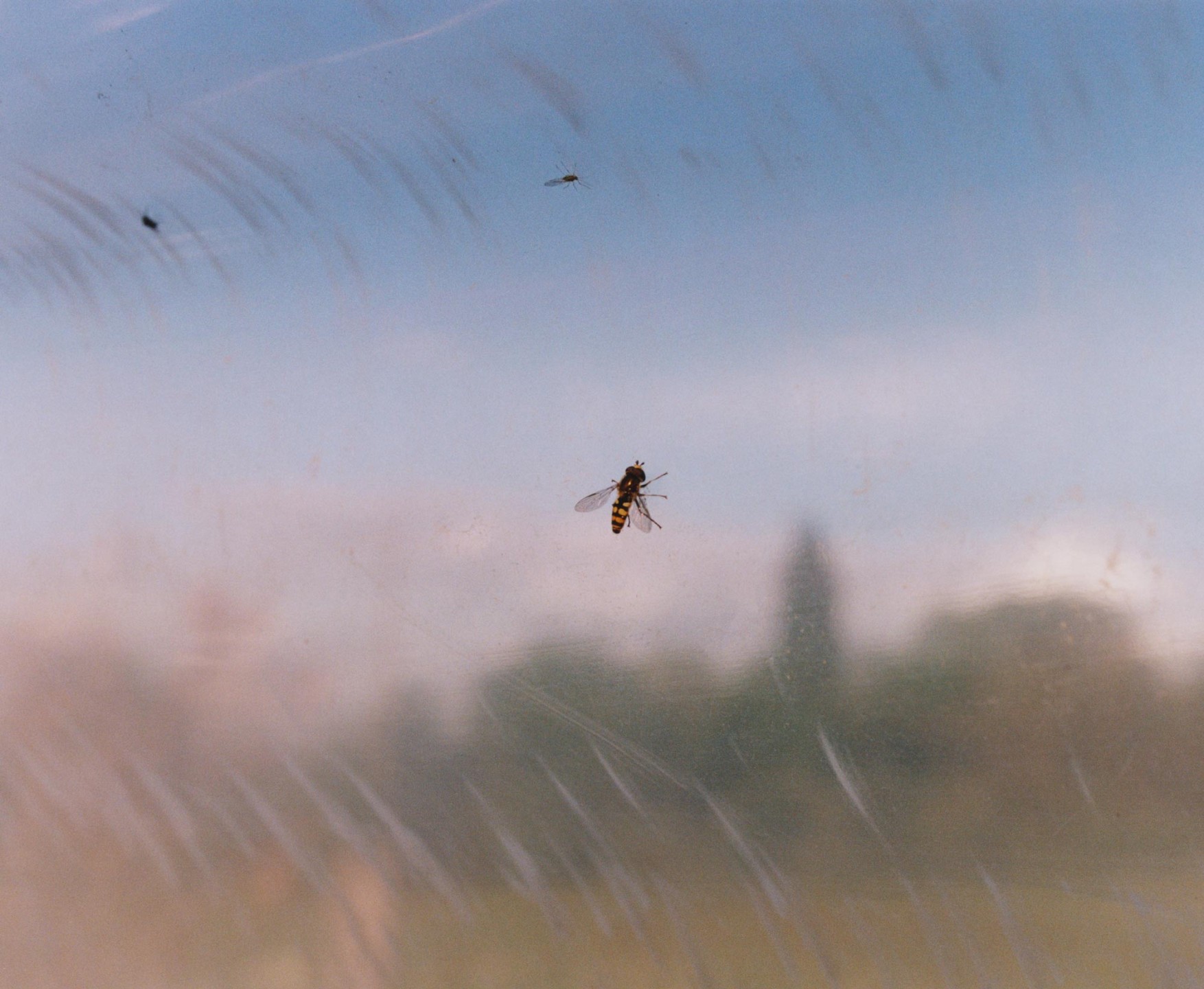 Luke & Nik - courier_clement_lukeandnik_029