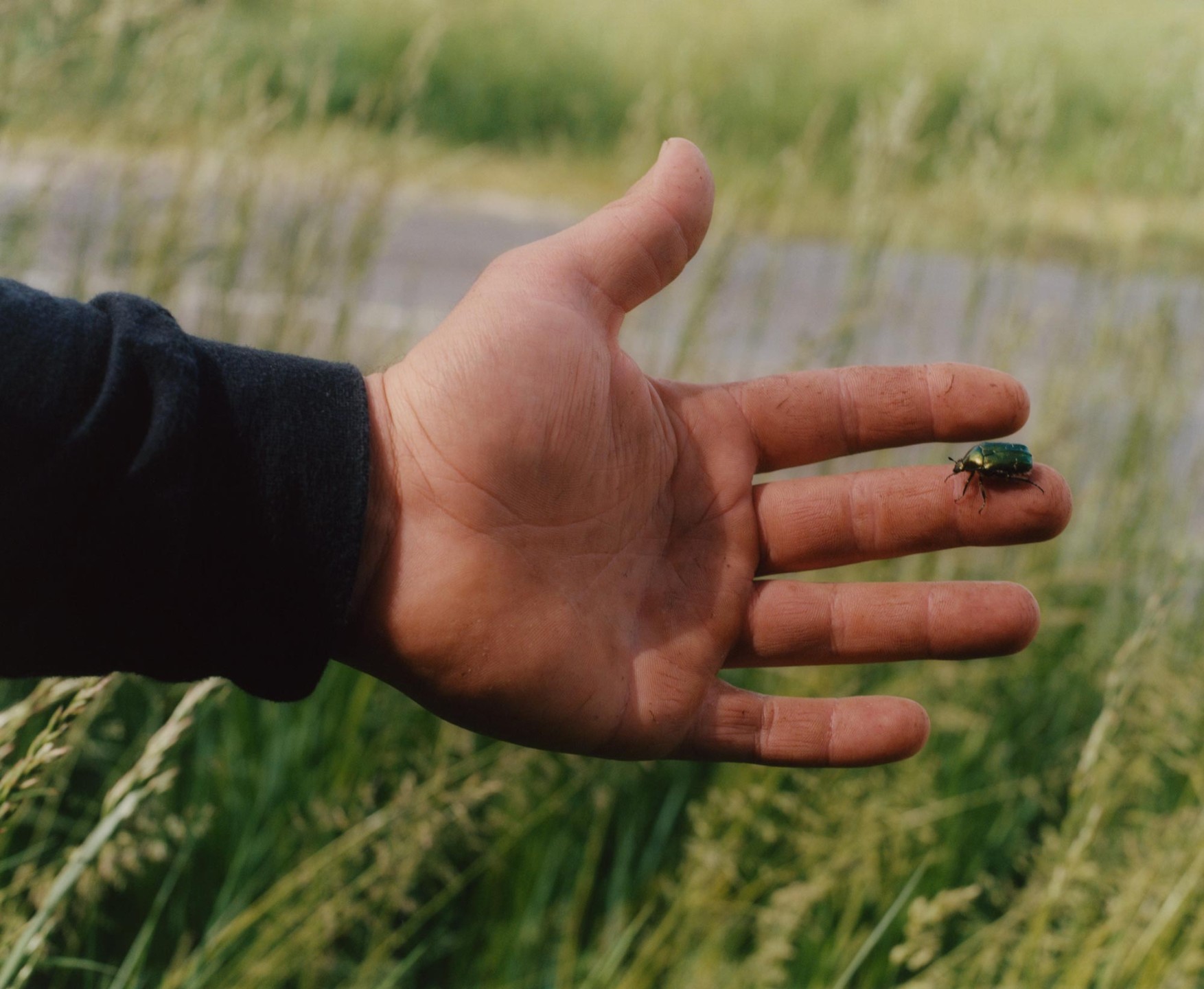 Luke & Nik - courier_clement_lukeandnik_024