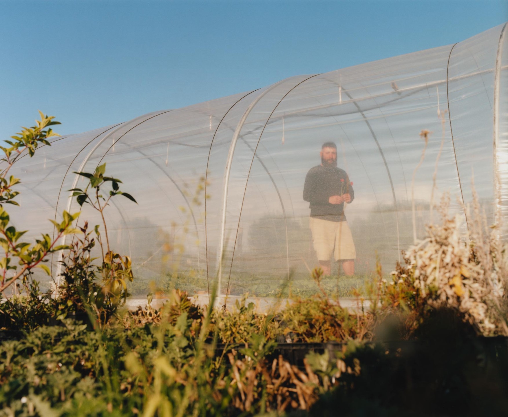 Luke & Nik - courier_clement_lukeandnik_006