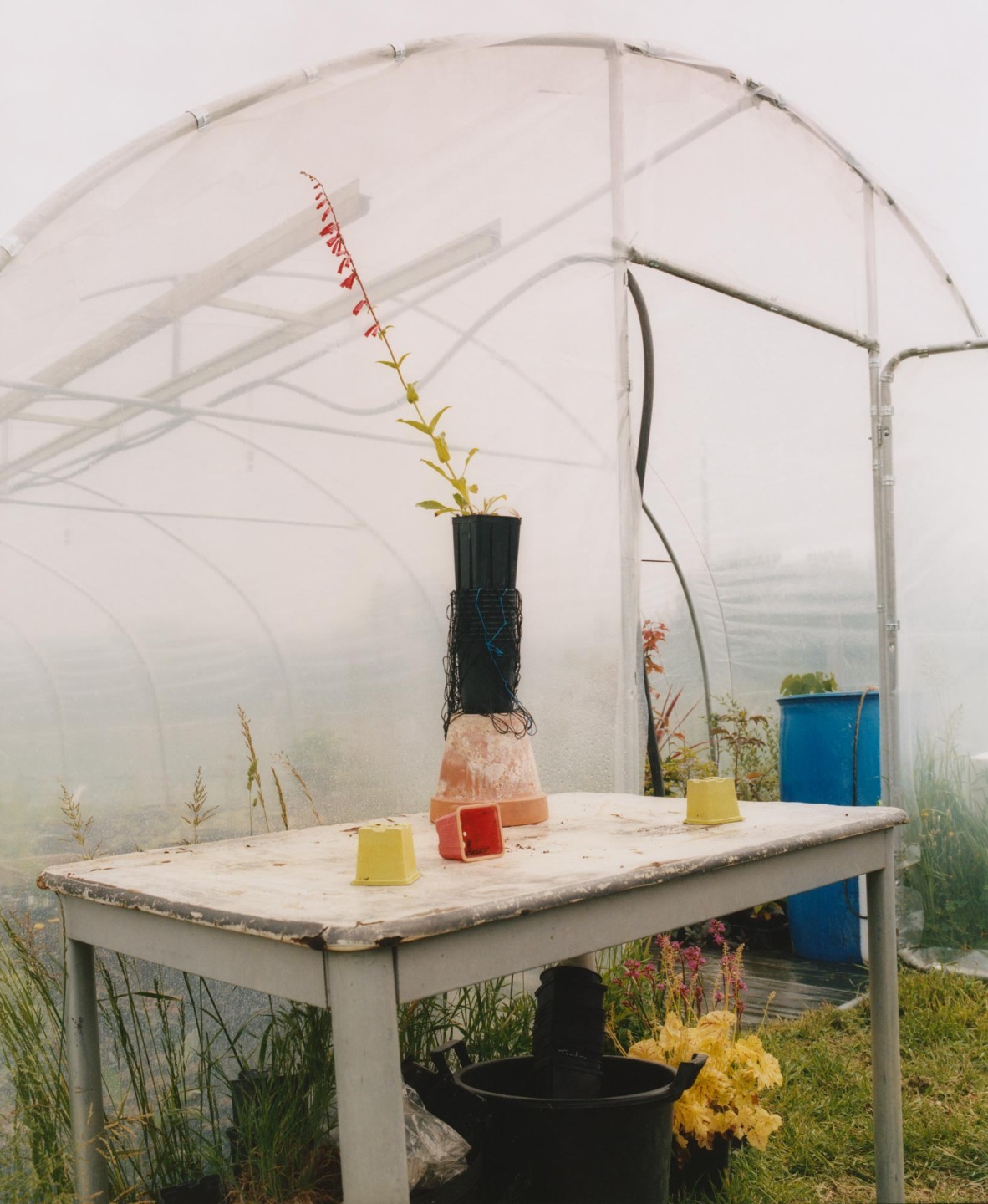 Luke & Nik - courier_clement_lukeandnik_005