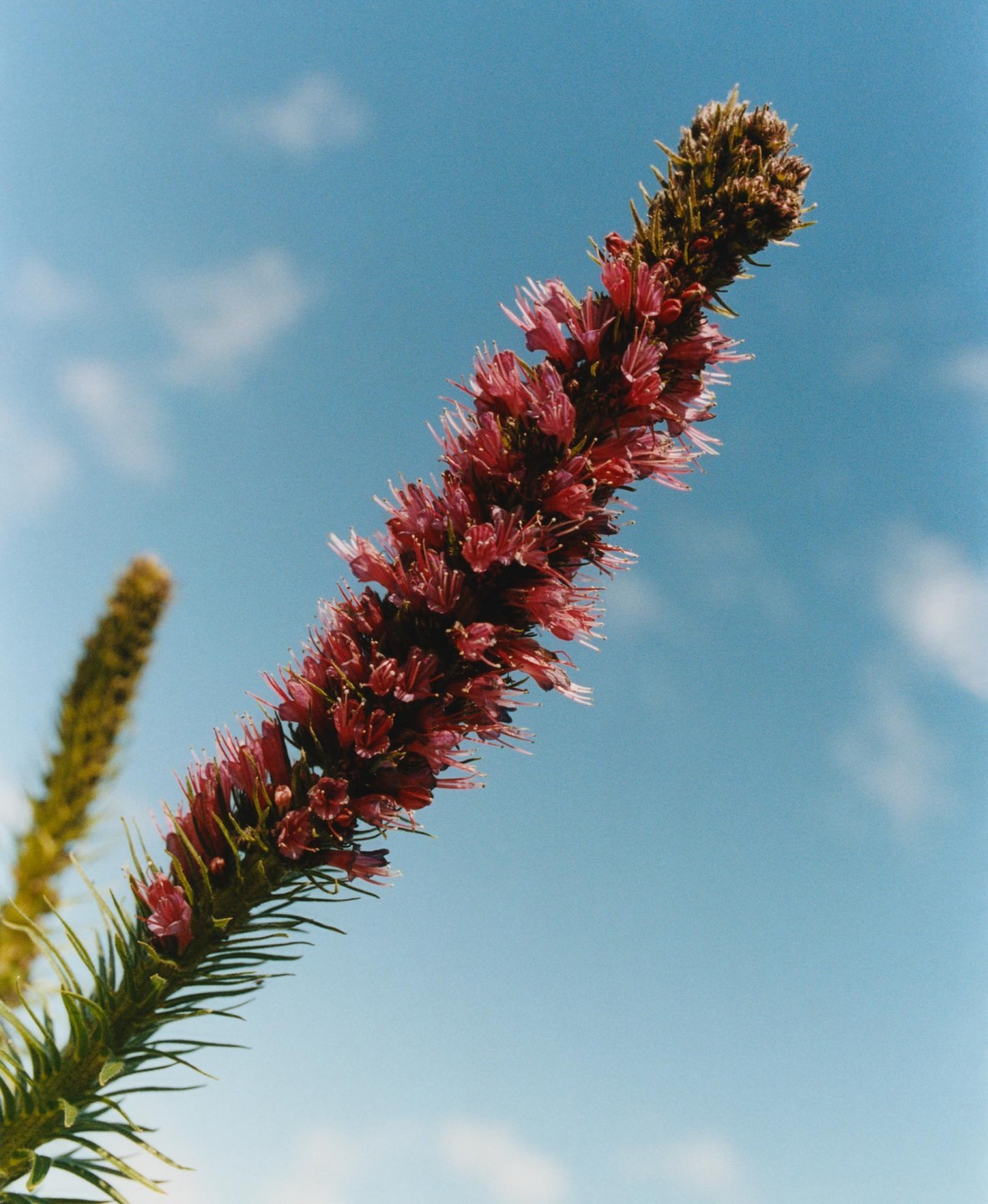 Luke & Nik - courier_clement_lukeandnik_015