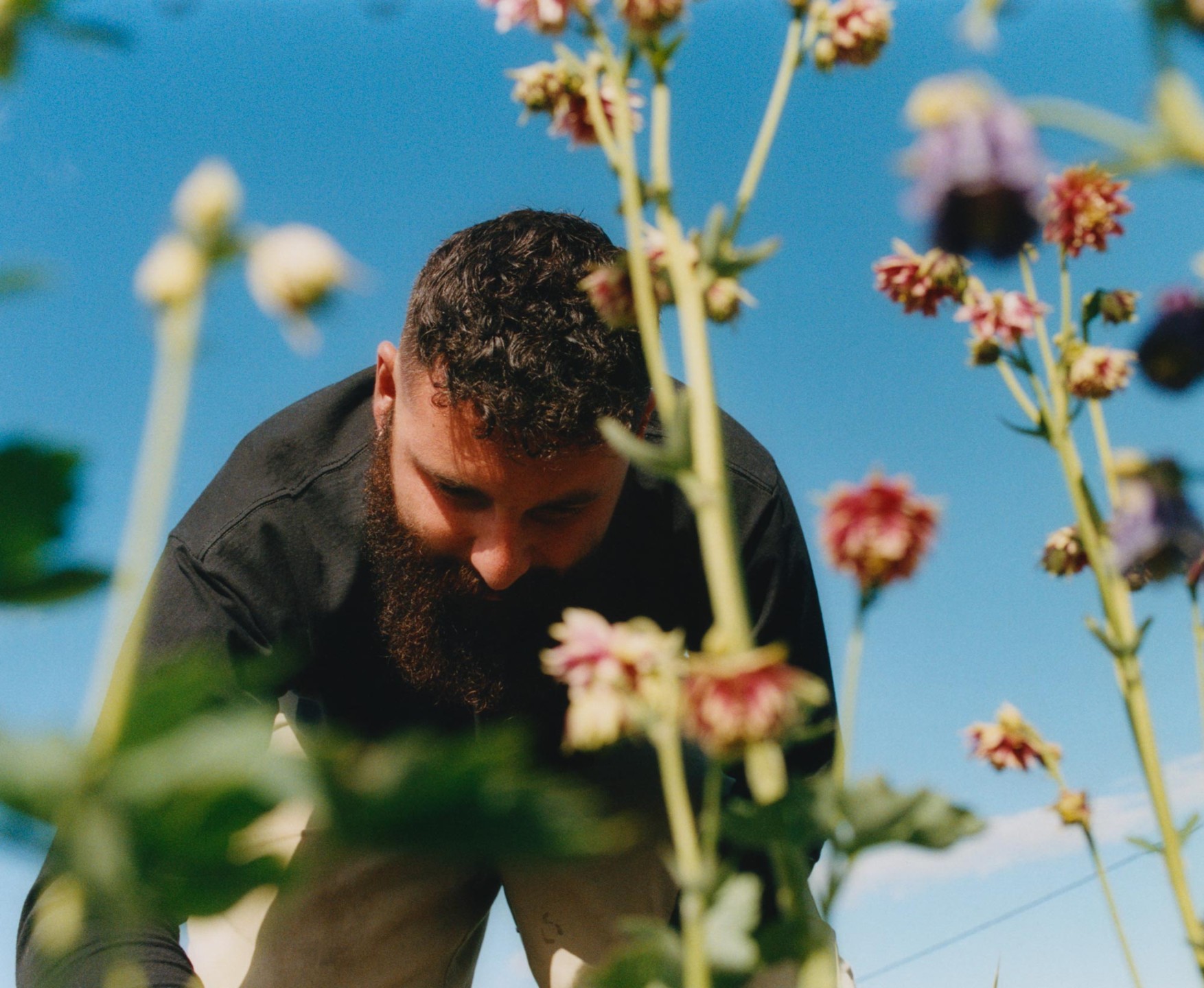 Luke & Nik - courier_clement_lukeandnik_004