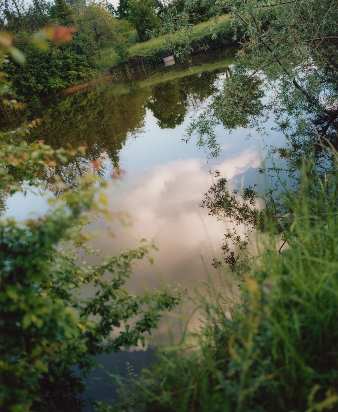 Luke & Nik - courier_clement_lukeandnik_009