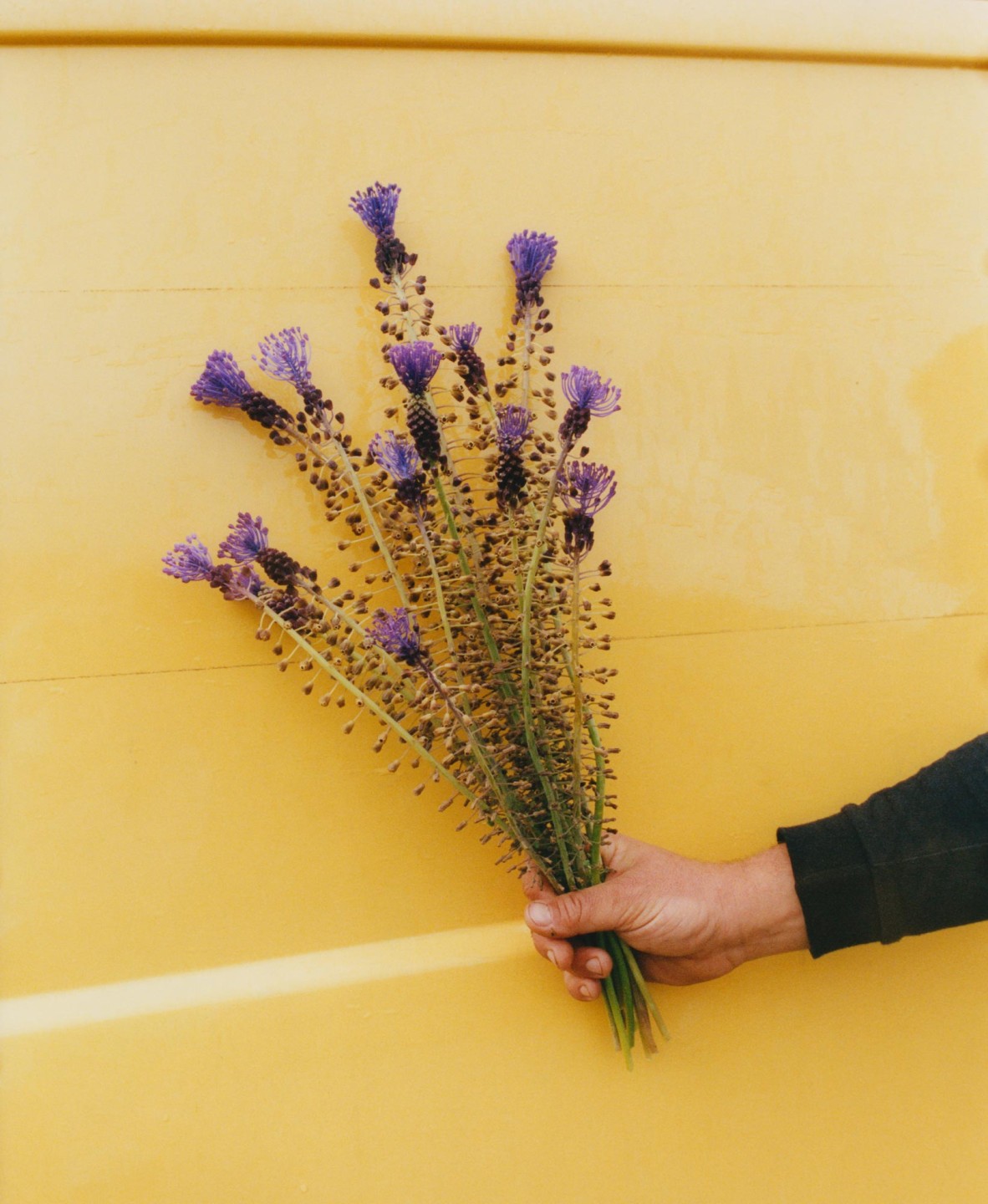 Luke & Nik - courier_clement_lukeandnik_018