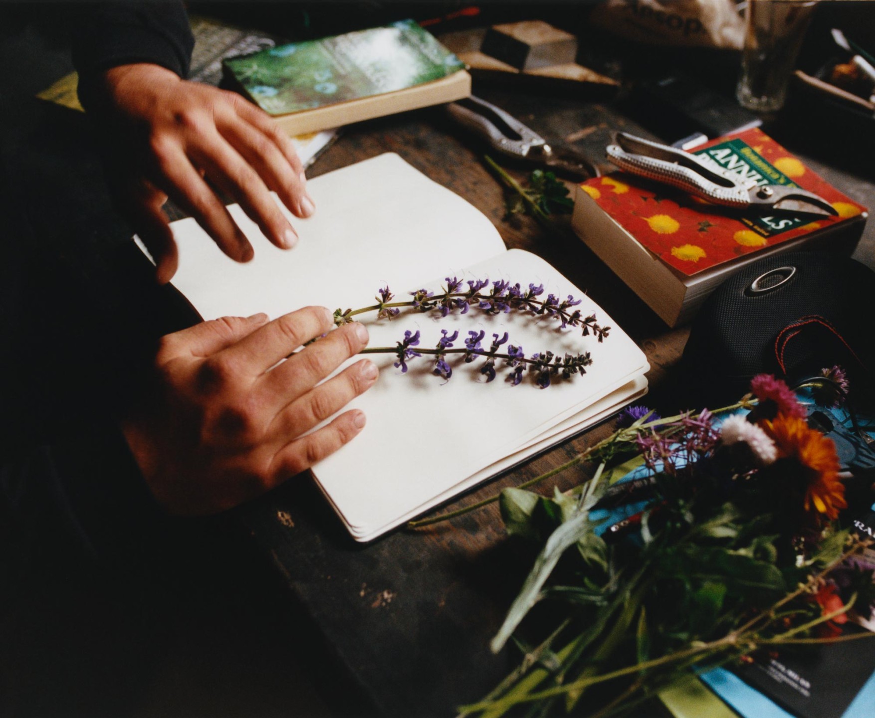 Luke & Nik - courier_clement_lukeandnik_016