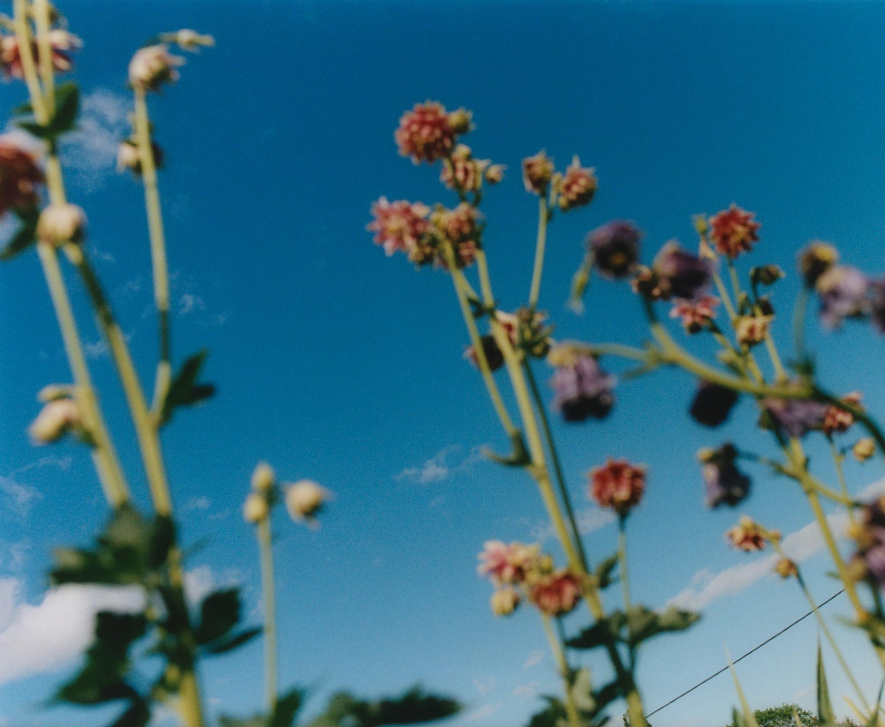 Luke & Nik - courier_clement_lukeandnik_026