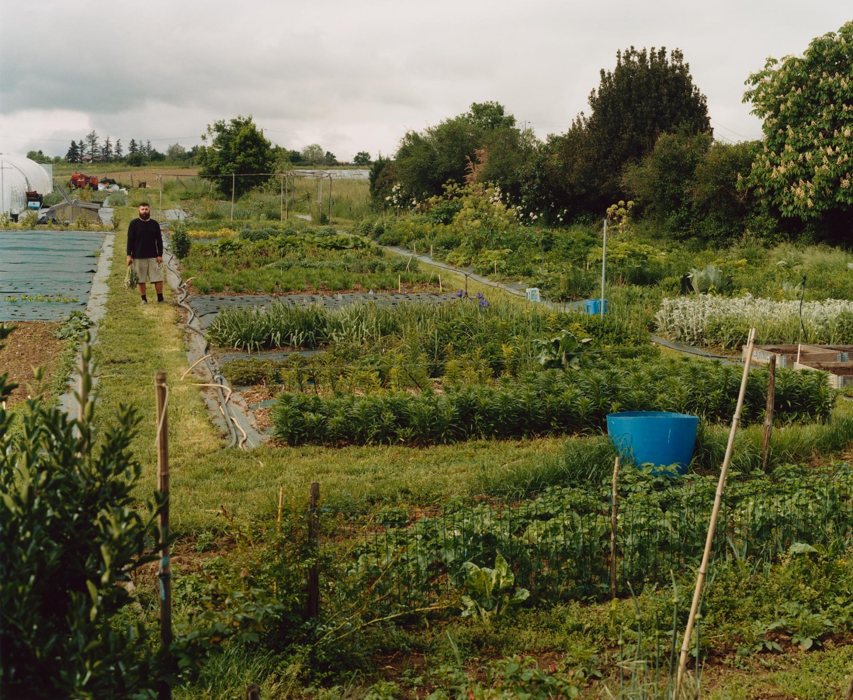 Luke & Nik - courier_clement_lukeandnik_001