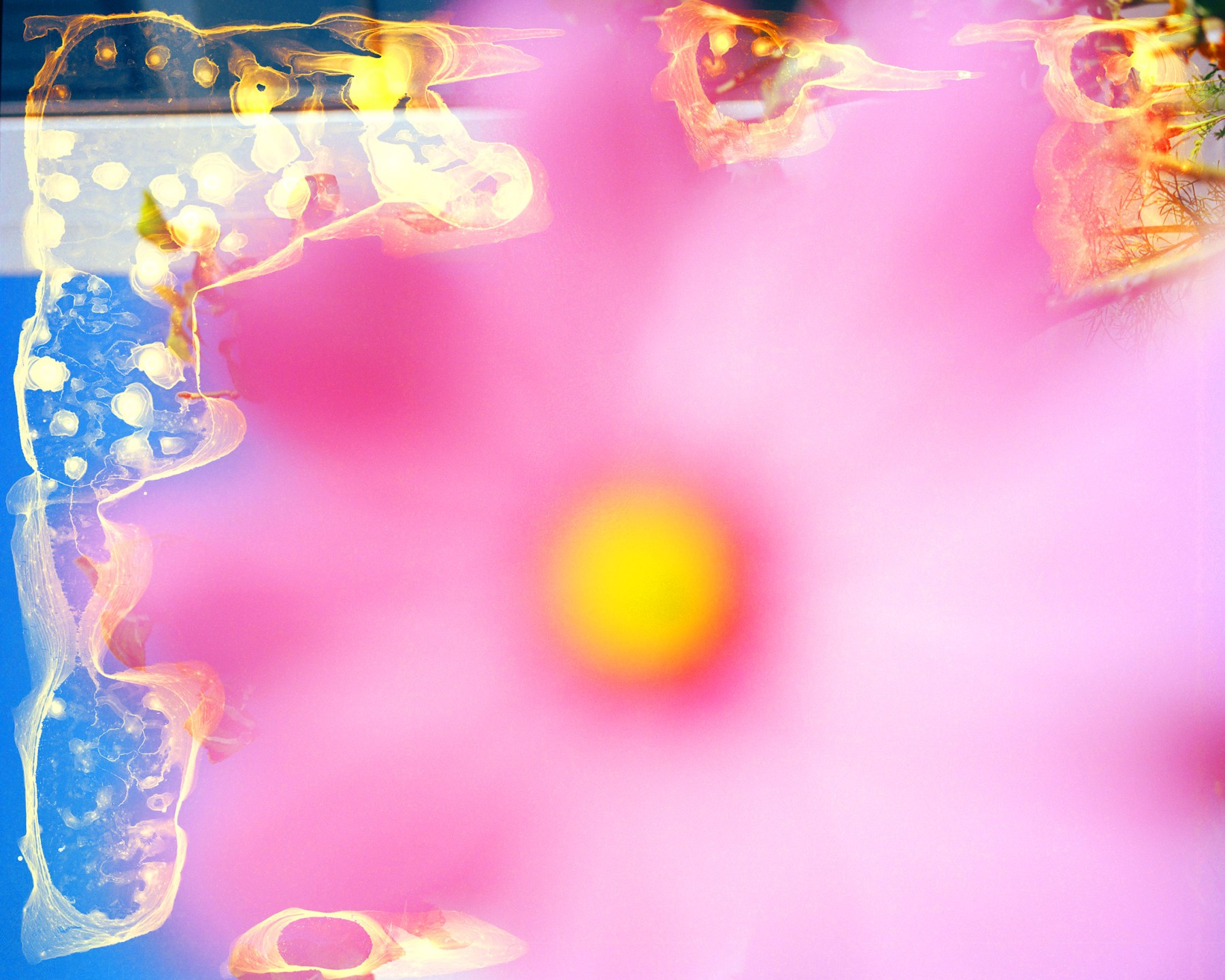 Luke & Nik - luke_nik_reconstructed_nature_print_sales_2024_2