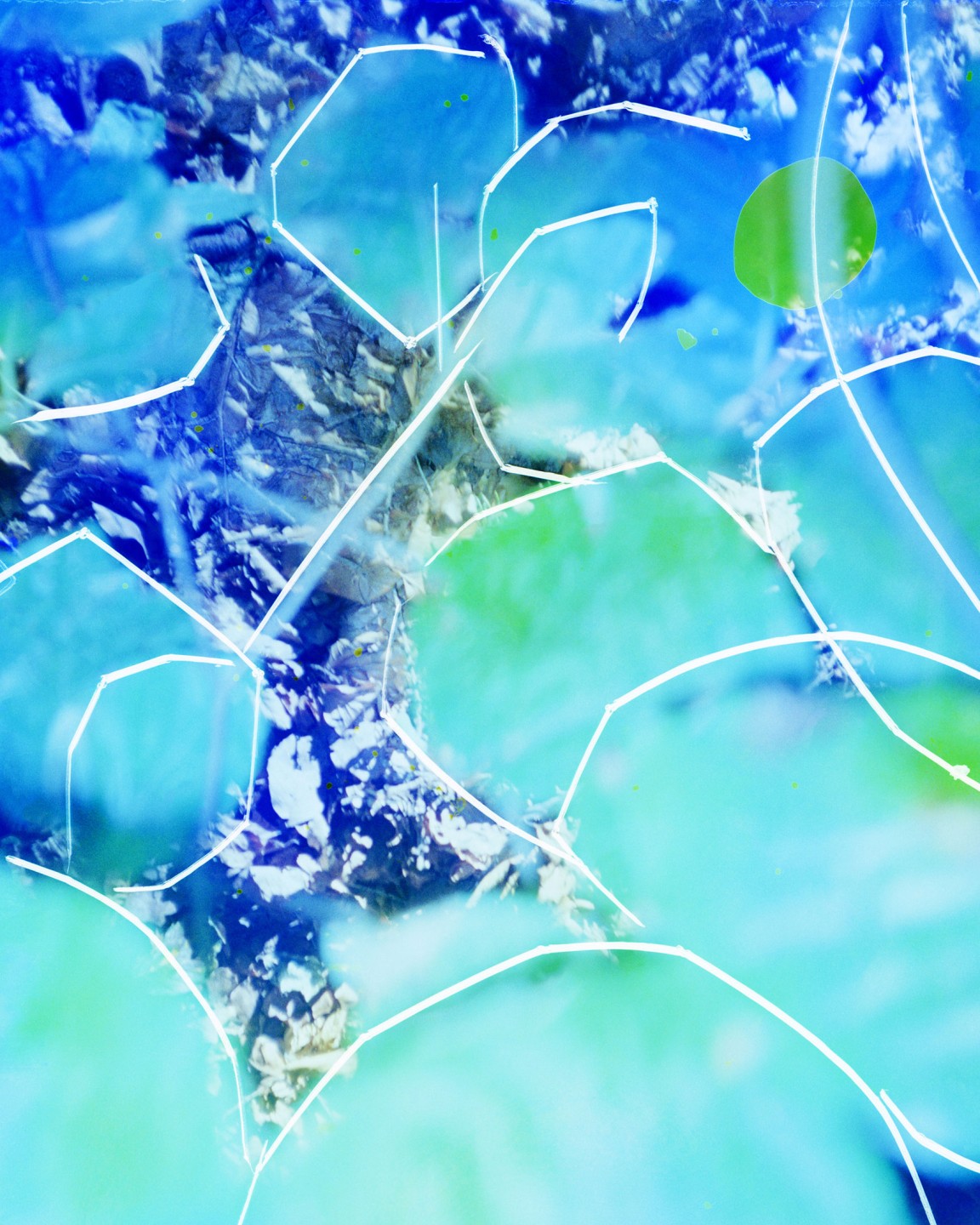 Luke & Nik - luke_nik_reconstructed_nature_print_sales_2024_8