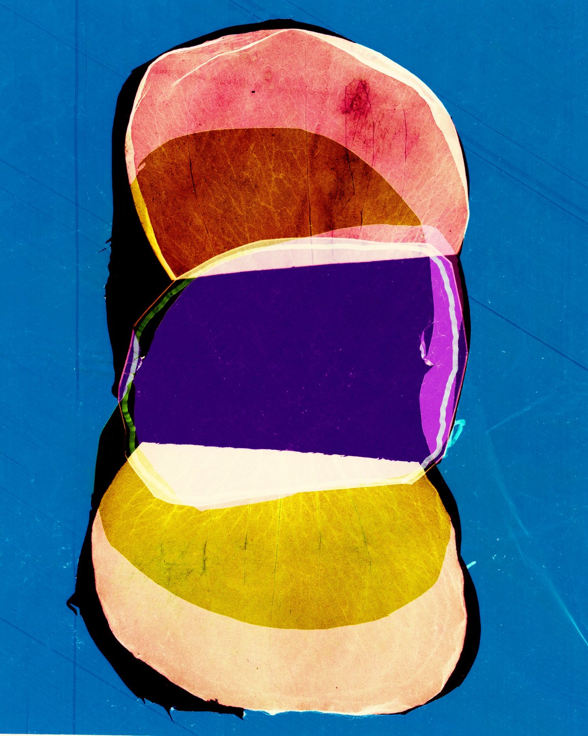 Luke & Nik - luke_nik_reconstructed_nature_print_sales_2024_15