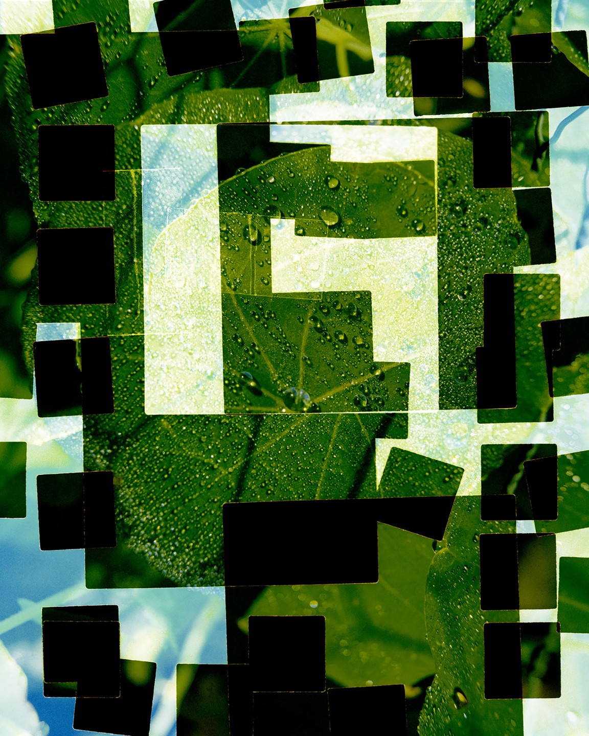 Luke & Nik - luke_nik_reconstructed_nature_print_sales_2024_7