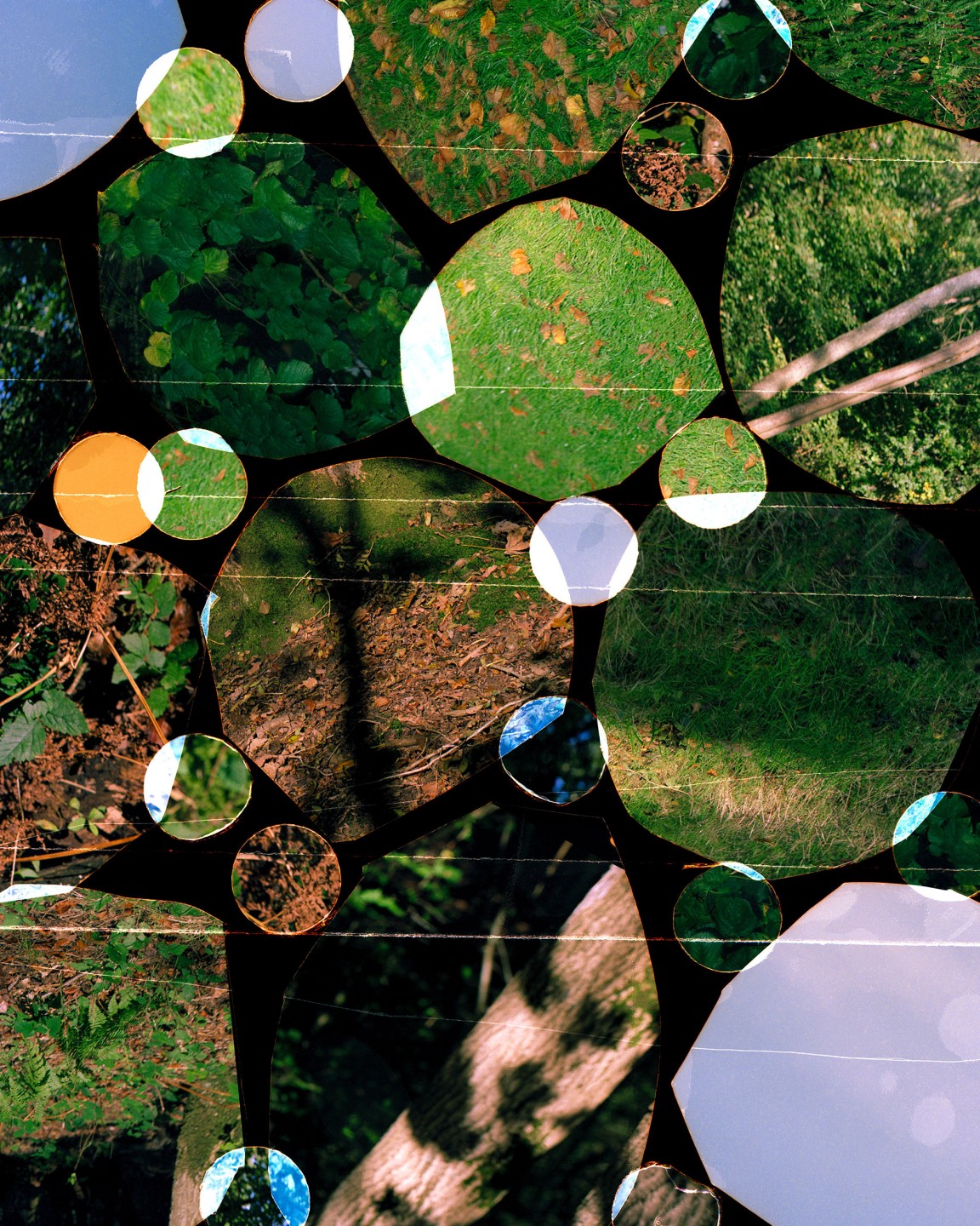 Luke & Nik - luke_nik_reconstructed_nature_print_sales_2024_12