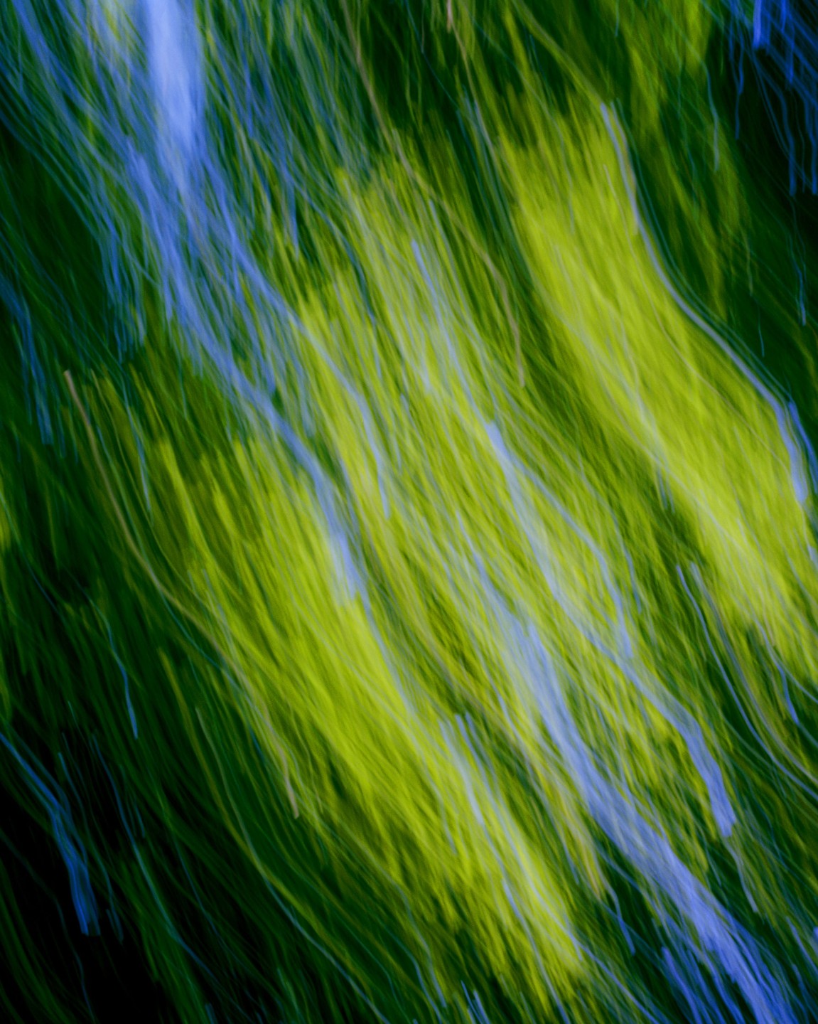 Luke & Nik - luke_nik_reconstructed_nature_print_sales_2024_10