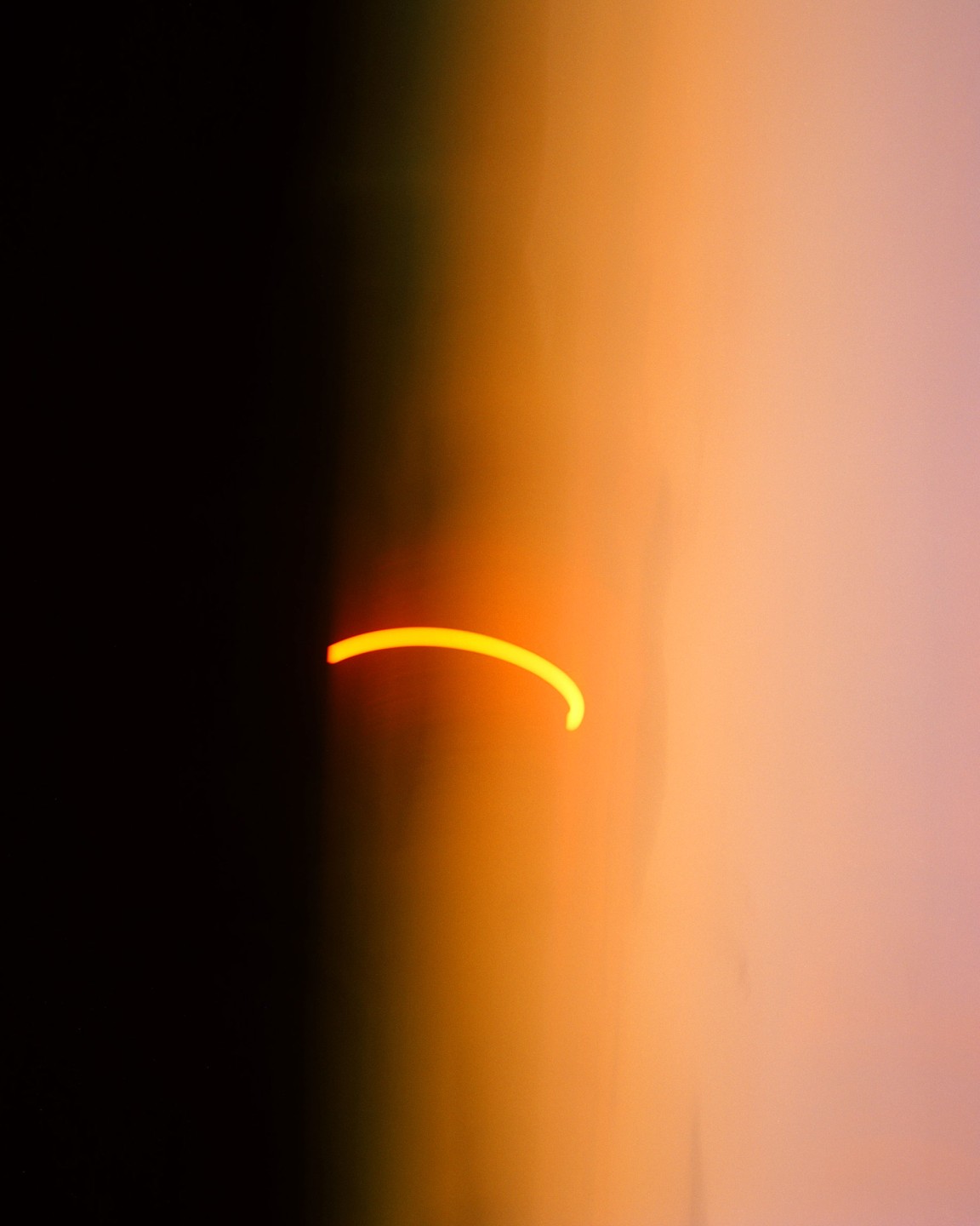 Luke & Nik - luke_nik_reconstructed_nature_print_sales_2024_3