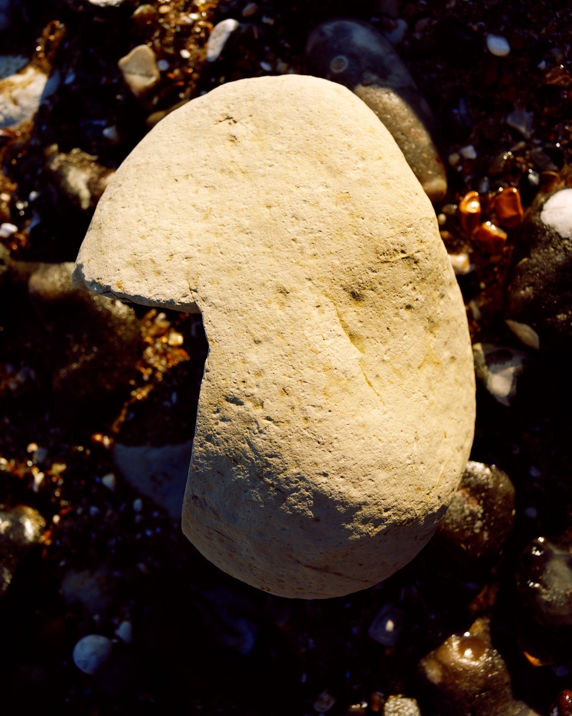 Luke & Nik - luke_nik_reconstructed_nature_print_sales_2024_18