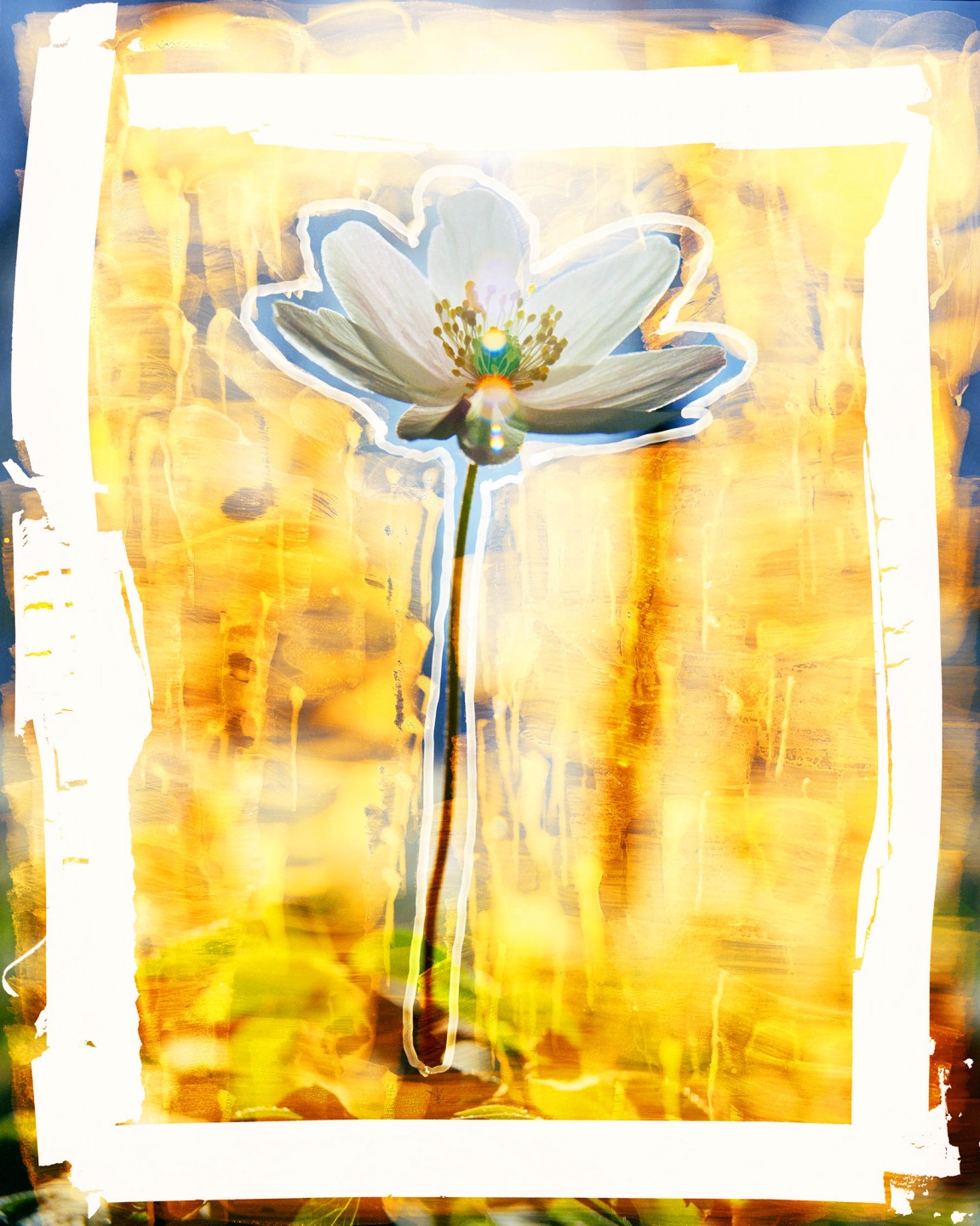 Luke & Nik - luke_nik_reconstructed_nature_print_sales_2024_9