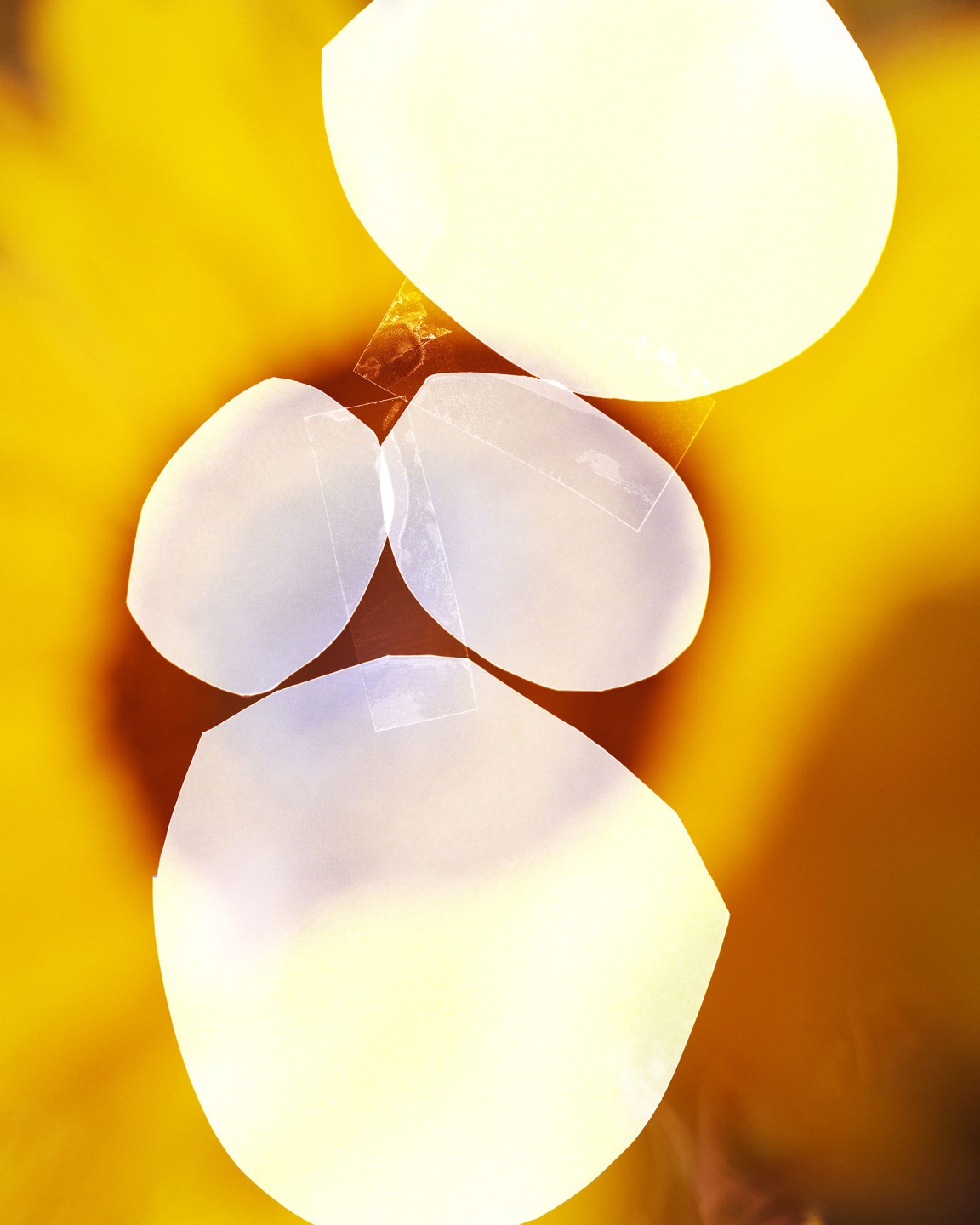 Luke & Nik - luke_nik_reconstructed_nature_print_sales_2024_13