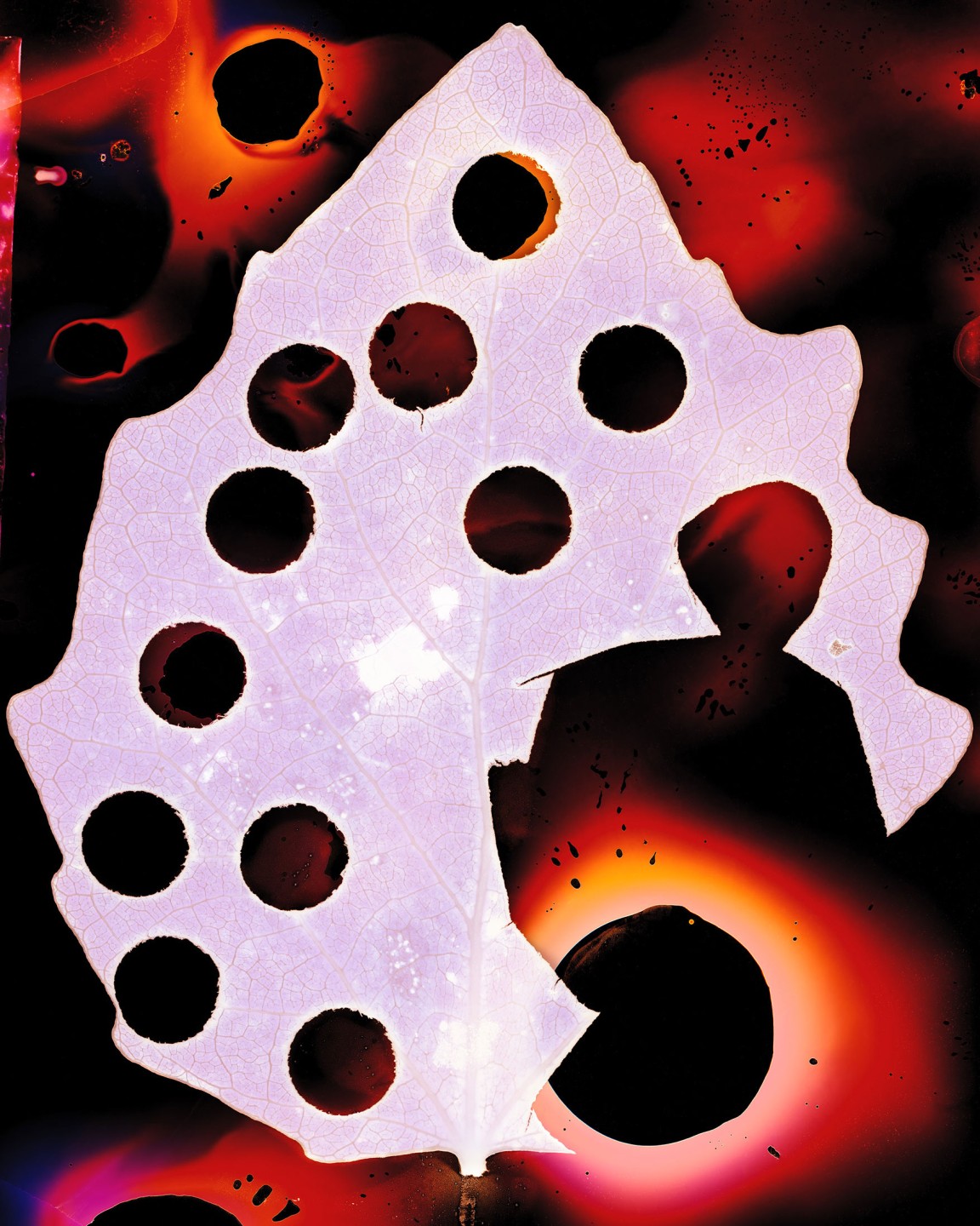 Luke & Nik - luke_nik_reconstructed_nature_print_sales_2024_1