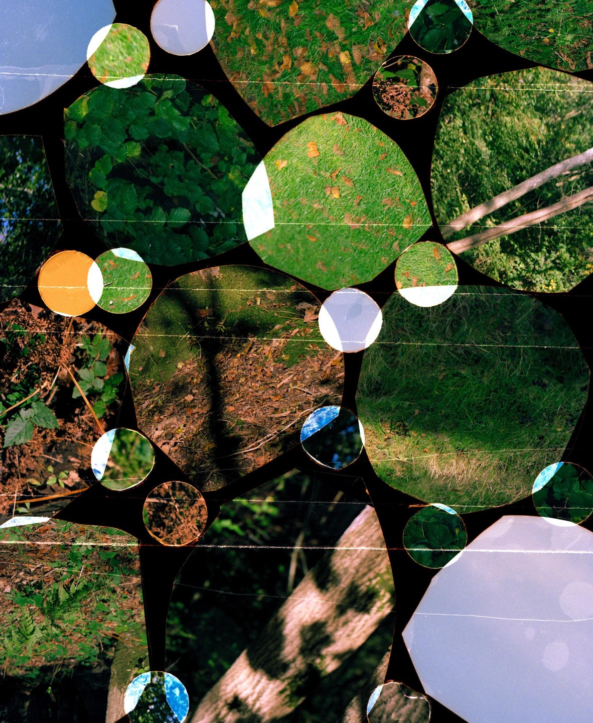 Luke & Nik - r29_lukeandnik_009