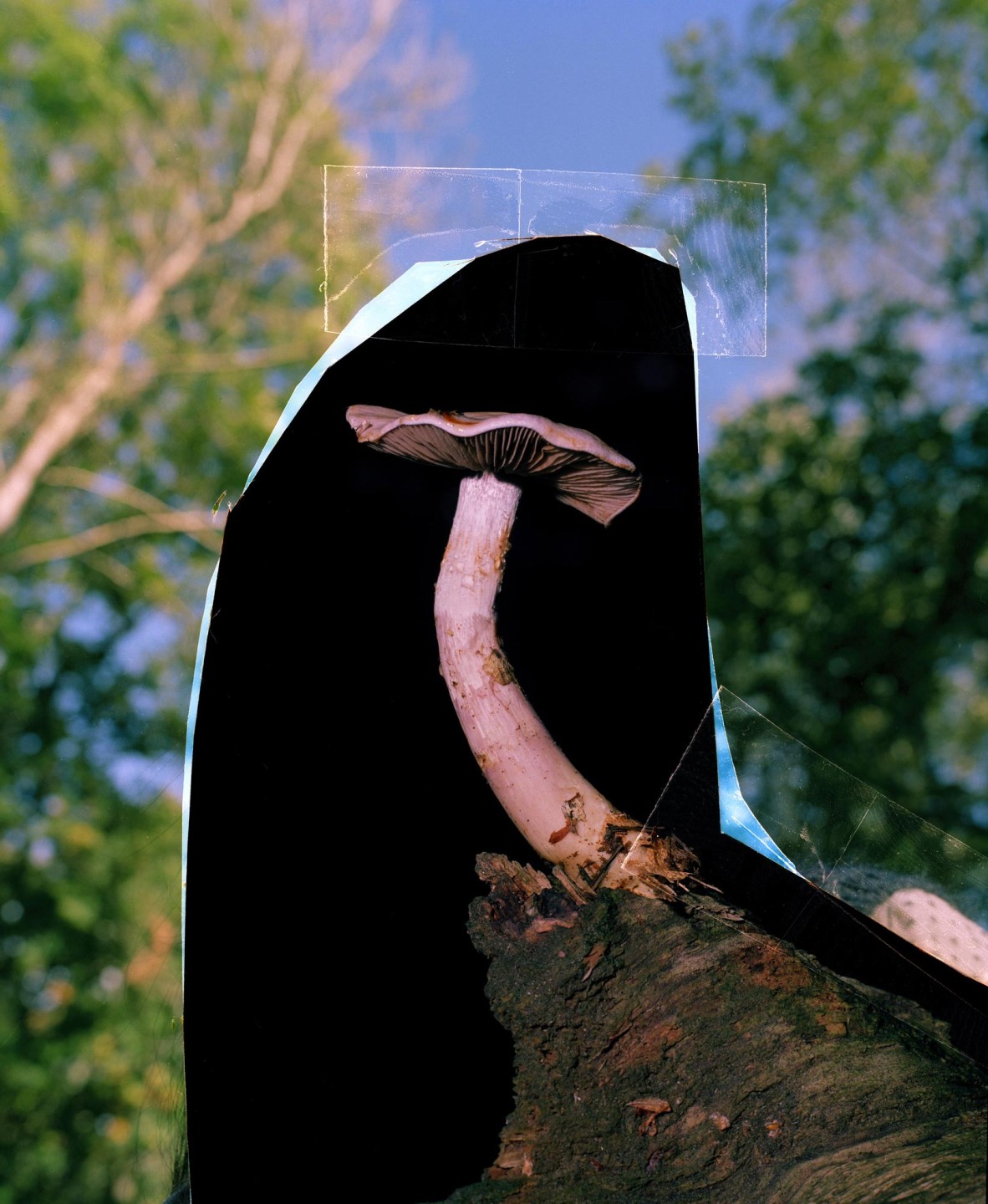 Luke & Nik - r29_lukeandnik_010