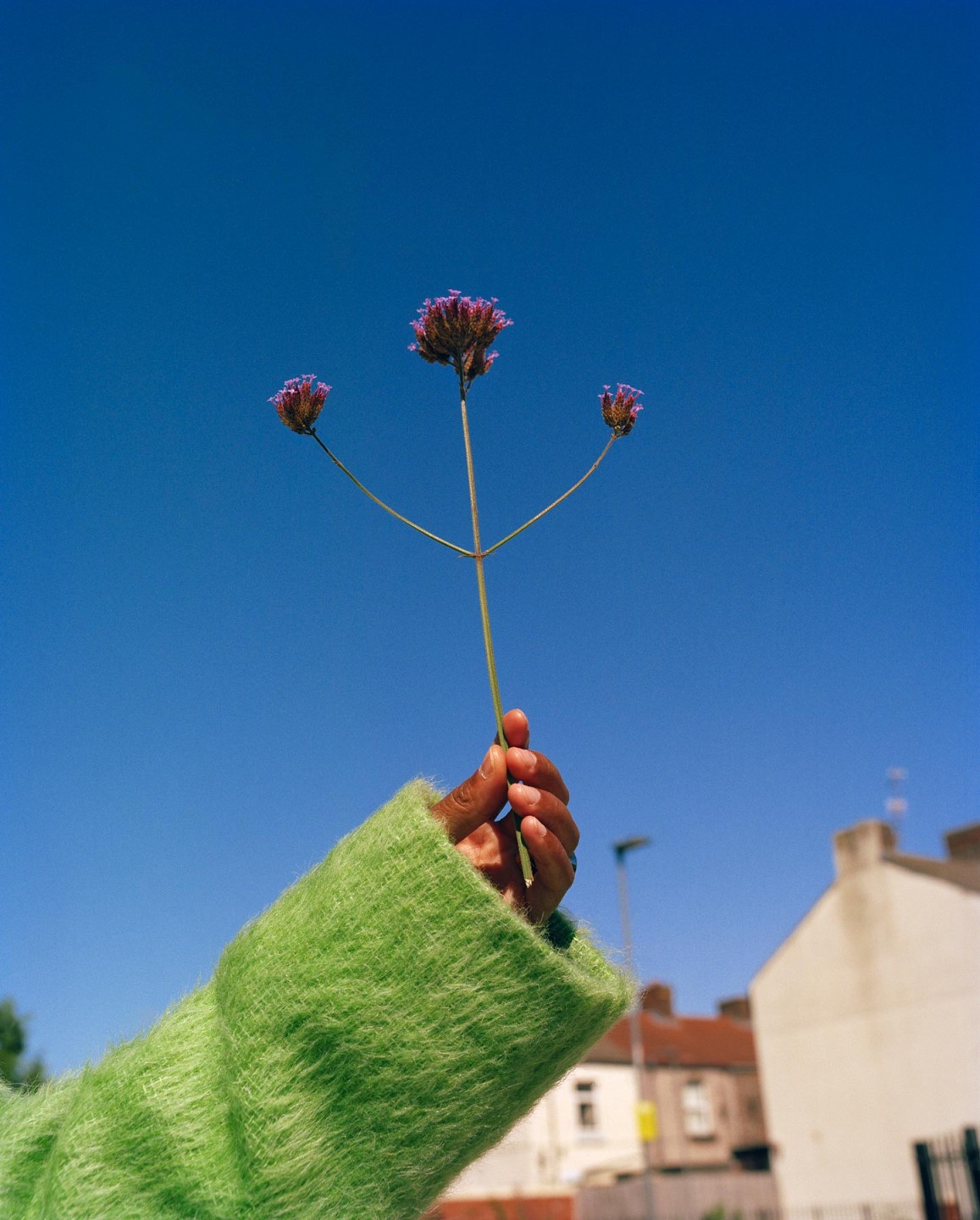 Luke & Nik - ln654_season_svds_010_r2_flatten_cropped_2000px