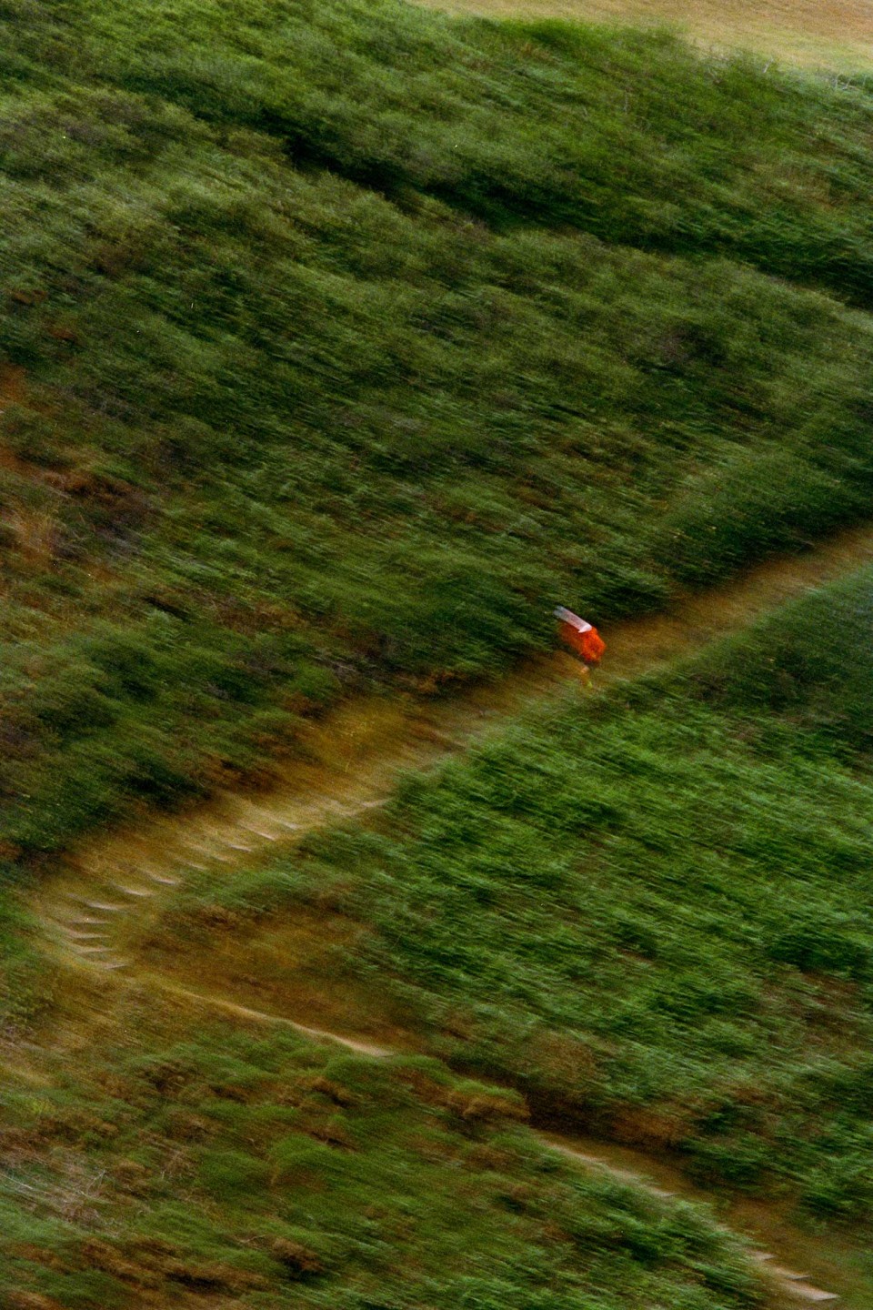 Luke & Nik - soar_running_lukeandnik_001