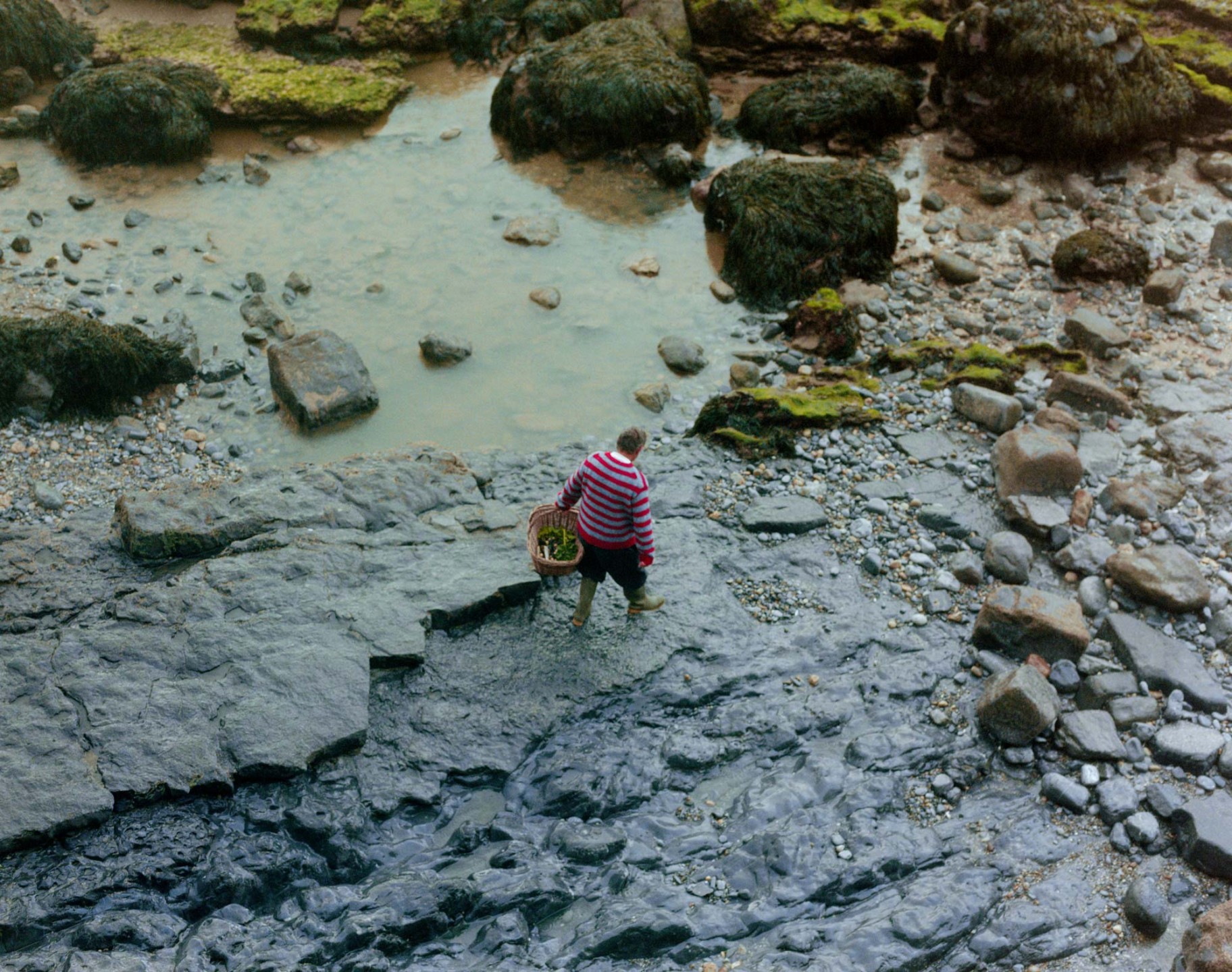 Luke & Nik - ln753_toast_ss26__0205_r1