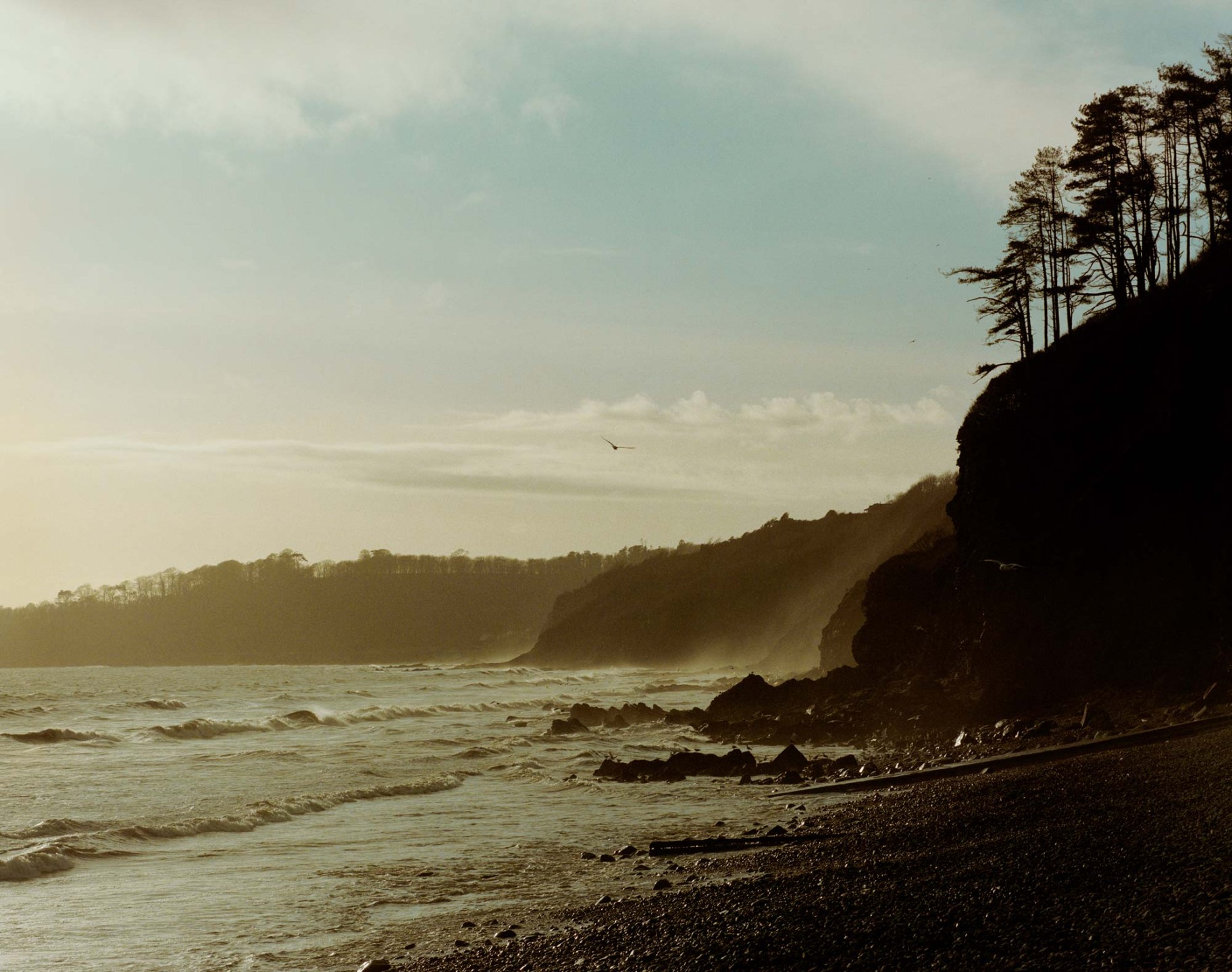 Luke & Nik - ln753_toast_ss26__0283_r1