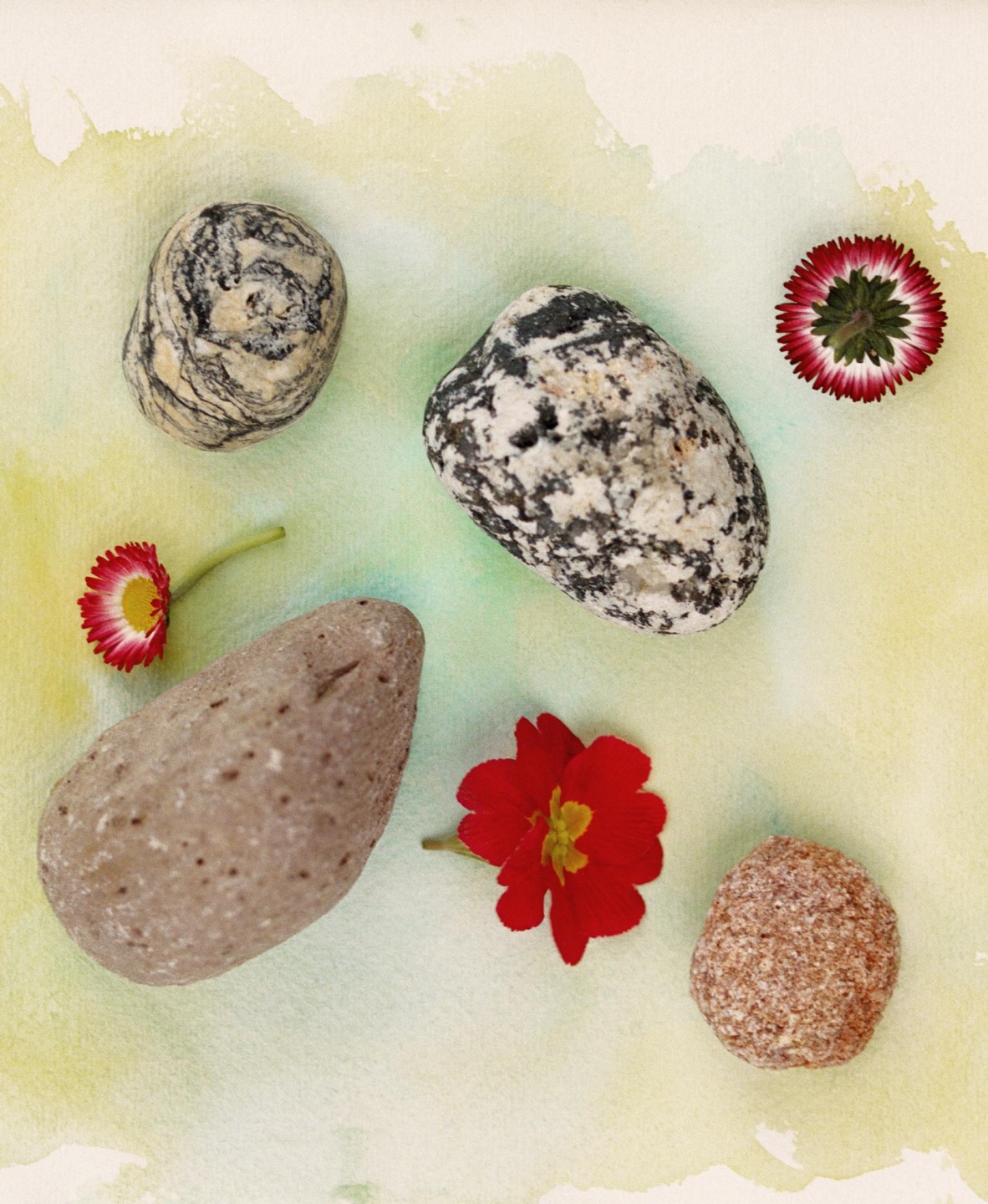 Luke & Nik - toast_08